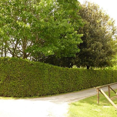 Il Nido Villa Lucca Eksteriør bilde
