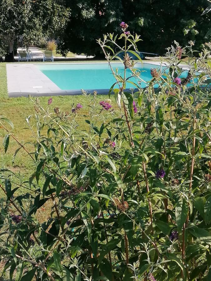 Il Nido Villa Lucca Eksteriør bilde