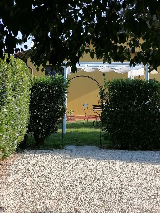 Il Nido Villa Lucca Eksteriør bilde