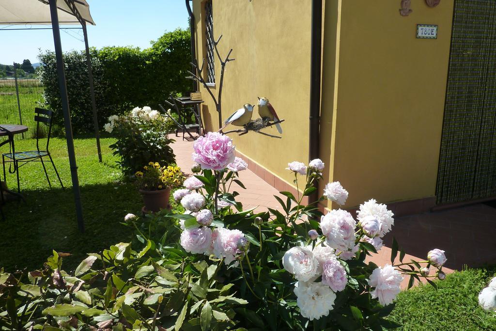 Il Nido Villa Lucca Rom bilde