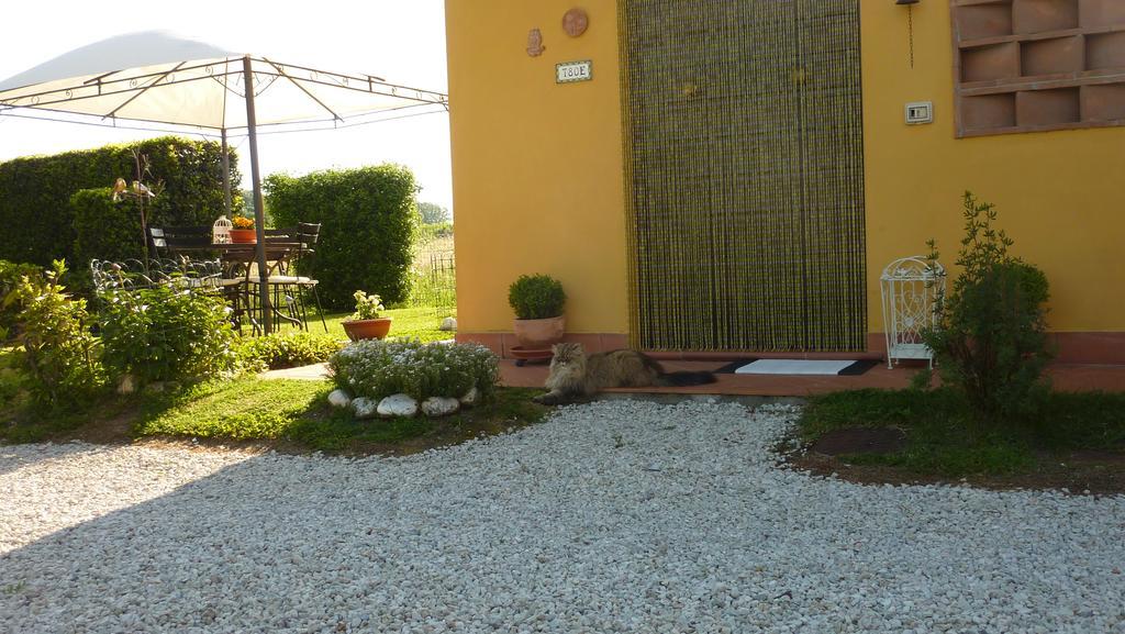 Il Nido Villa Lucca Eksteriør bilde